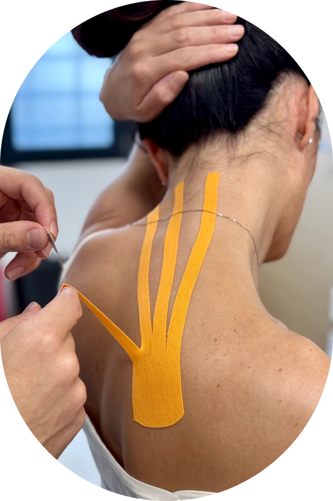 FisioFunctional – fisioterapia FisioFunctional - fisioterapia
